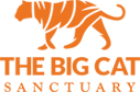 Big Cat Logo