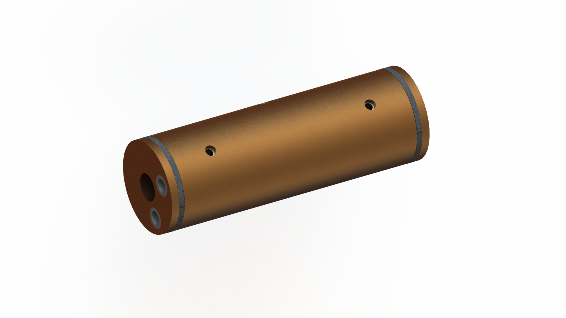Piston with rings